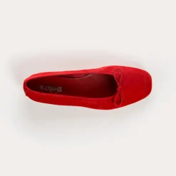 BALLERINES HARMONY CUIR VELOURS CC