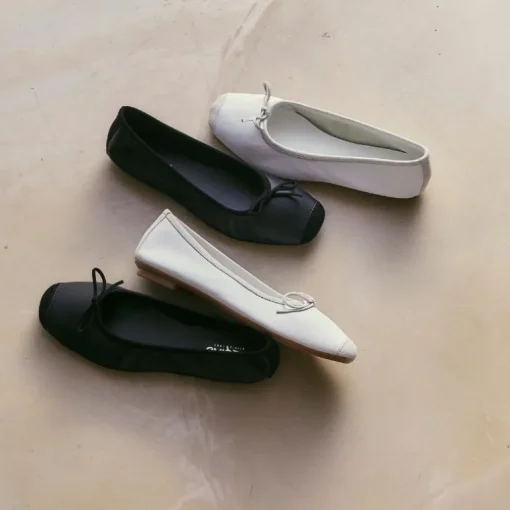 BALLERINES HARMONY CUIR/CUIR VELOURS CC