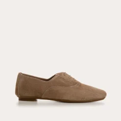 DERBIES HYDRA CUIR VELOURS CC