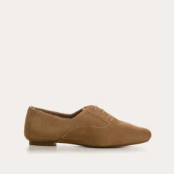 DERBIES HYDRA CUIR VELOURS CC