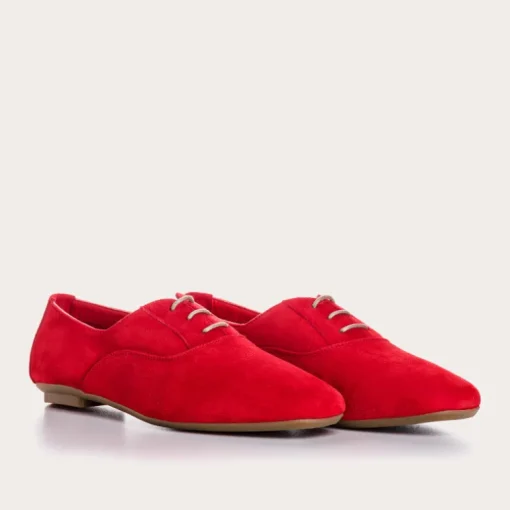 DERBIES HYDRA CUIR VELOURS CC