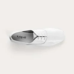 DERBIES HYDRA VERNIS CC